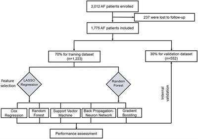 Predicting All-Cause Mortality Risk in Atrial Fibrillation Patients: A Novel LASSO-Cox Model Generated From a Prospective Dataset